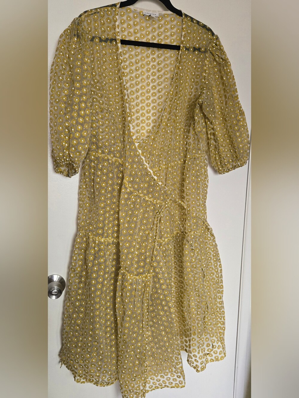 Sheer Daisy Wrap Dress